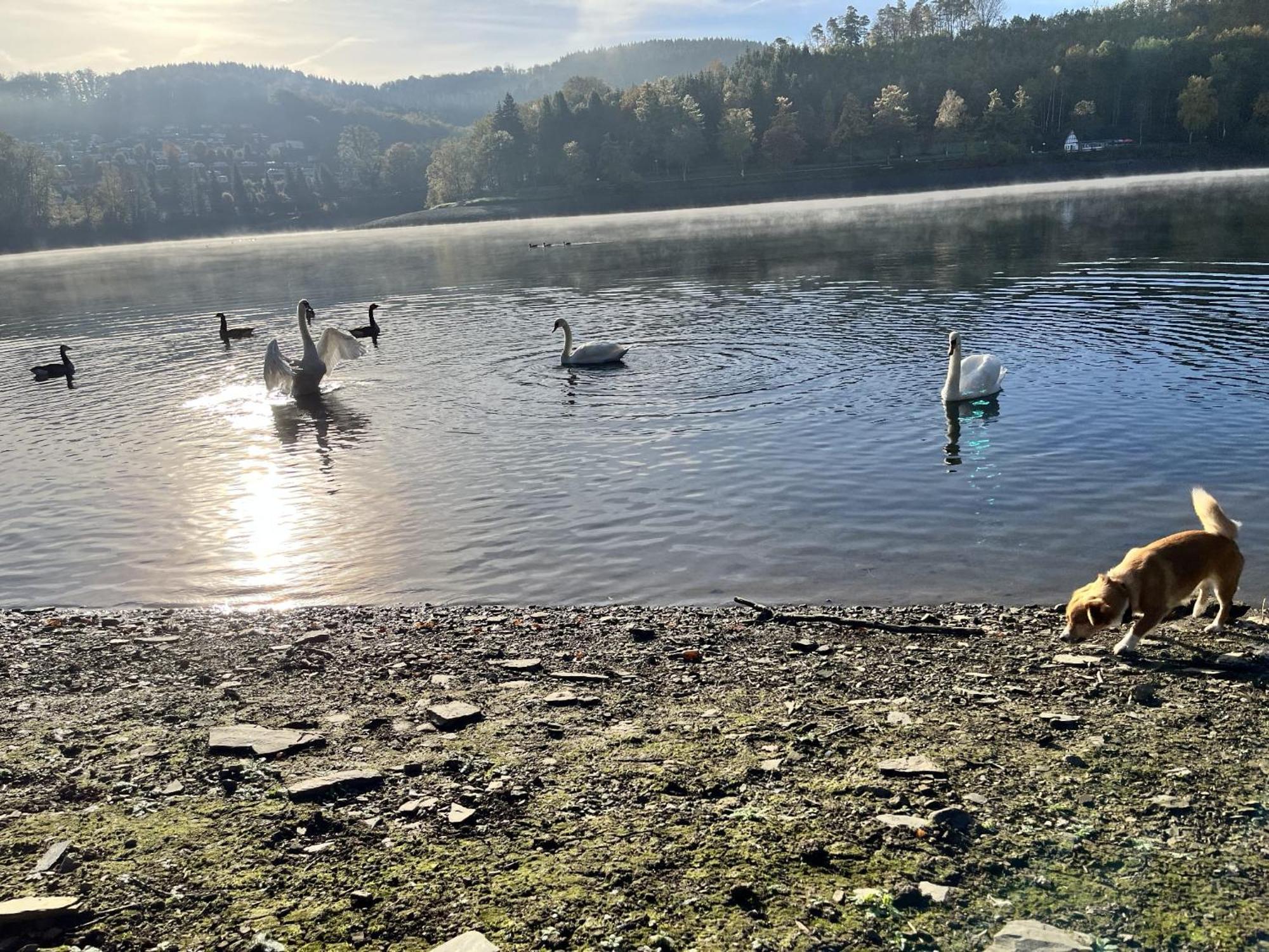 Haus Am Listersee ไมเนอร์ซาเกิน ภายนอก รูปภาพ